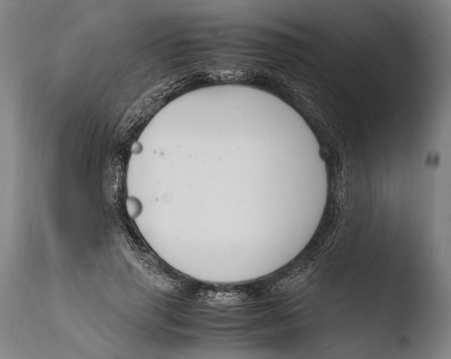 X0000108480645200904241301