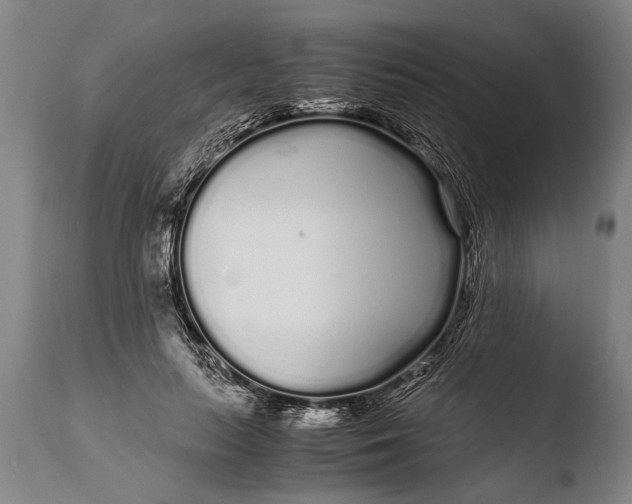 X0000108480647200904241301
