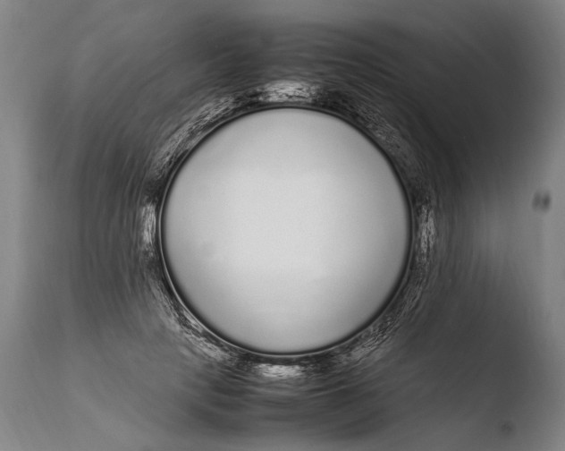 X0000108480649200904241301