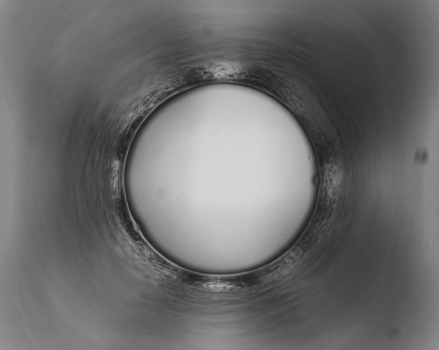 X0000108480650200904241301