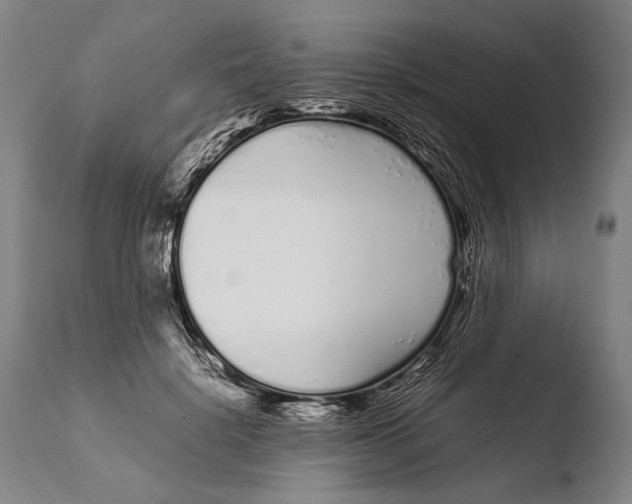 X0000108480652200904241301