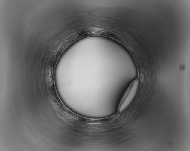 X0000108480653200904241301