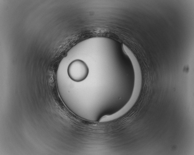 X0000108480654200904241301