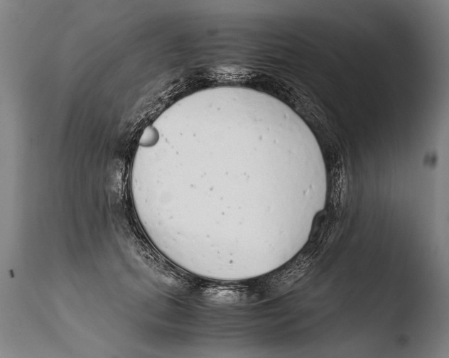 X0000108480655200904241302