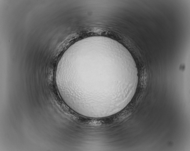 X0000108480656200904241302