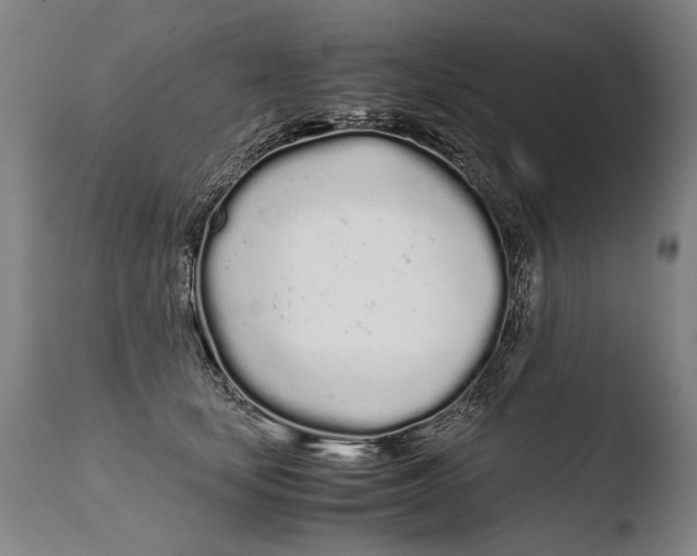 X0000108480659200904241302