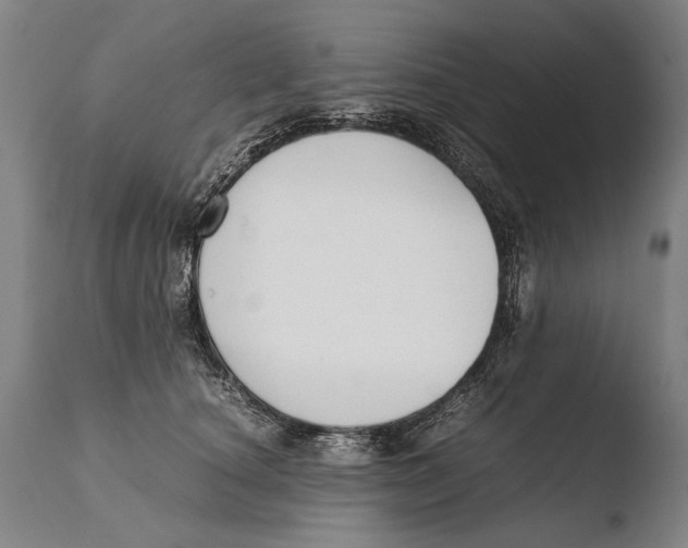 X0000108480660200904241302