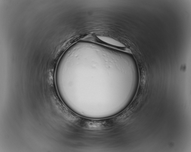 X0000108480661200904241302