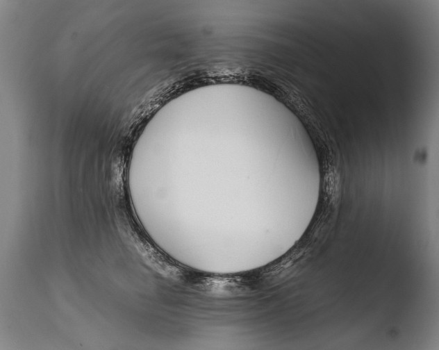 X0000108480662200904241302