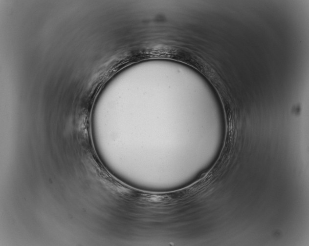 X0000108480663200904241302