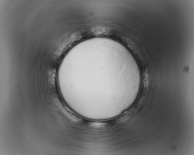 X0000108480664200904241302