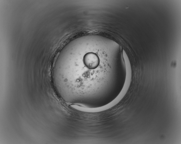 X0000108480667200904241302