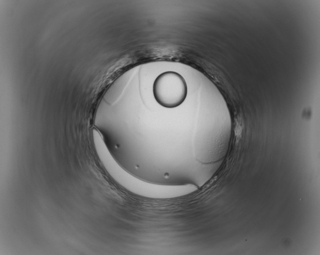 X0000108480668200904241302