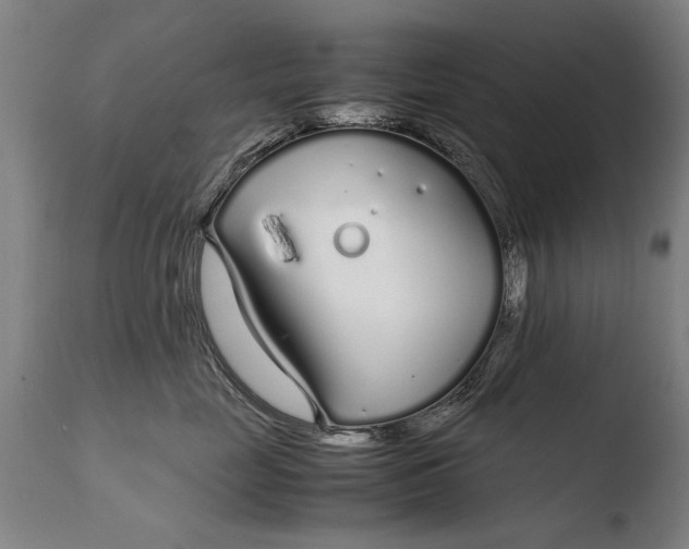 X0000108480669200904241302