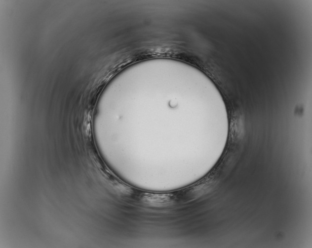 X0000108480671200904241302