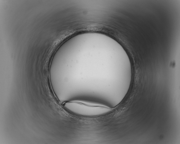 X0000108480673200904241301