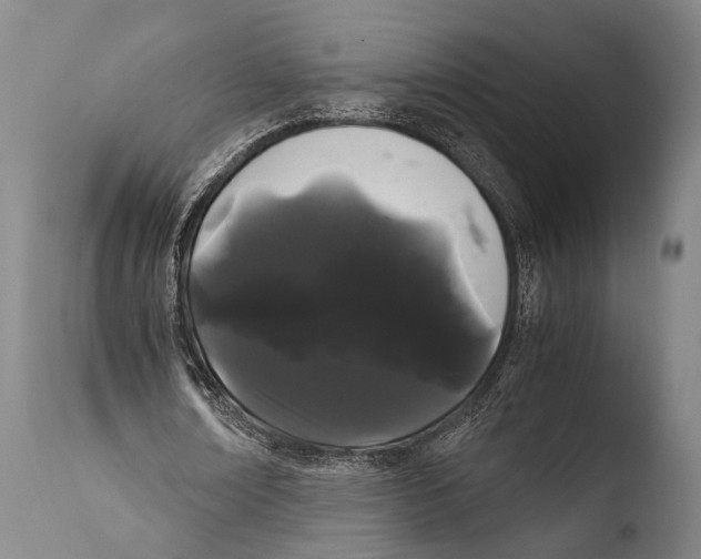 X0000108480674200904241301