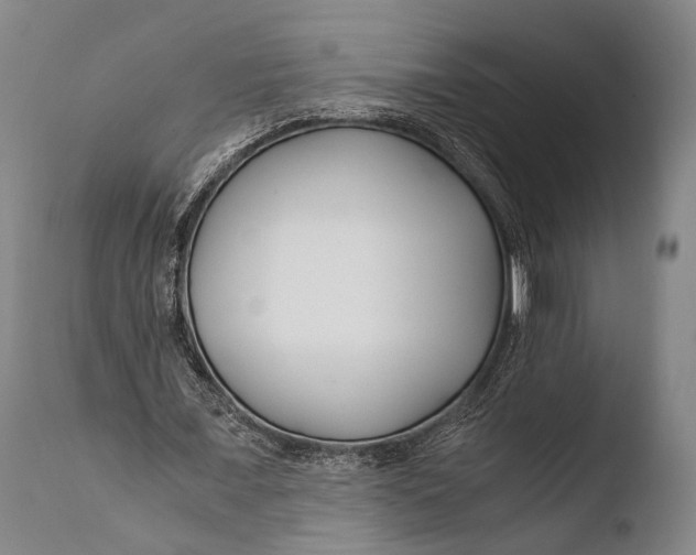 X0000108480675200904241301