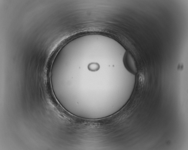 X0000108480676200904241301