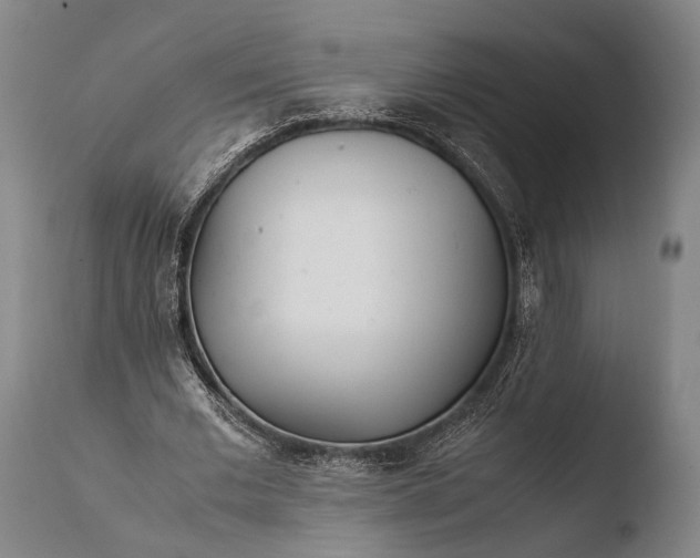 X0000108480677200904241301