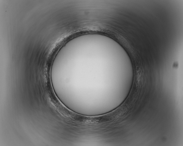 X0000108480680200904241301
