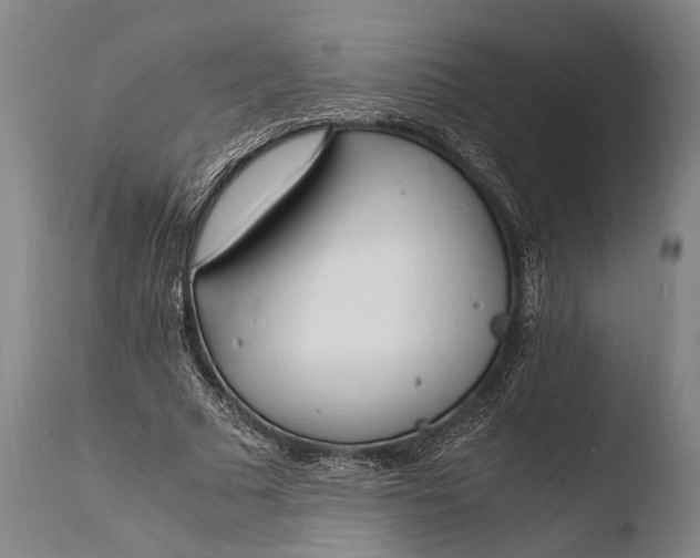 X0000108480681200904241301