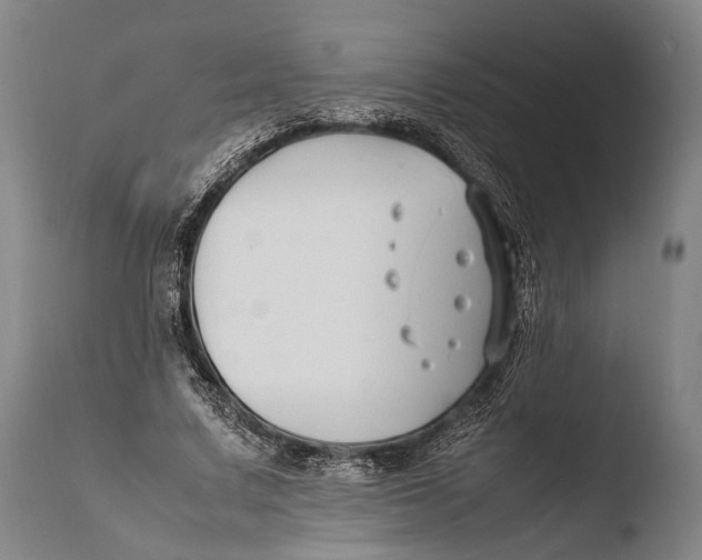 X0000108480683200904241301