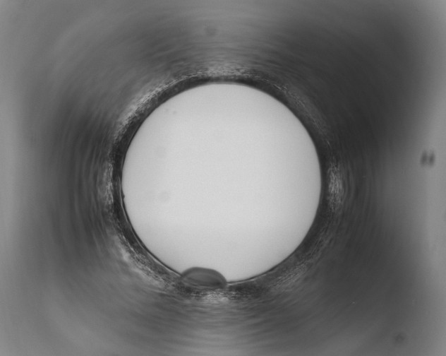 X0000108480684200904241301