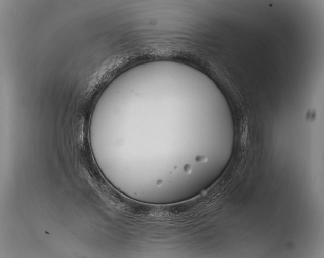 X0000108480685200904241301
