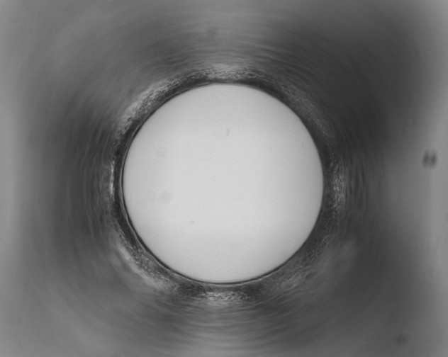 X0000108480686200904241301