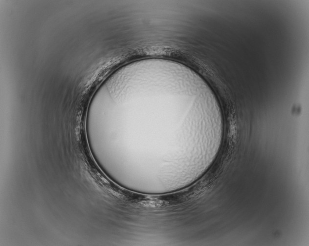 X0000108480687200904241301