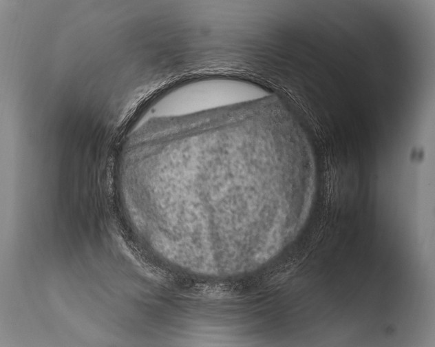 X0000108480688200904241301