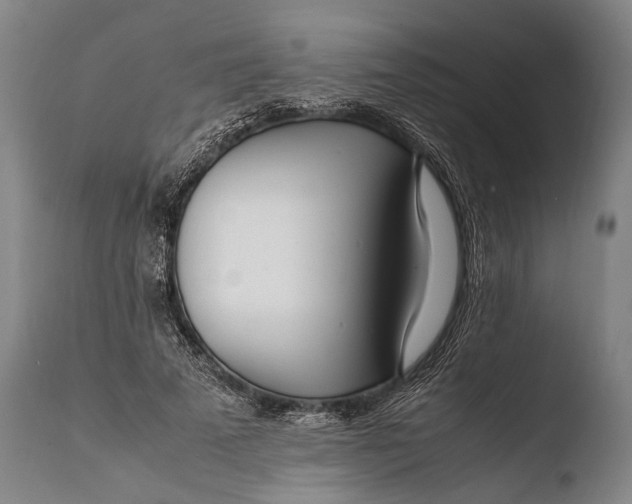 X0000108480689200904241301