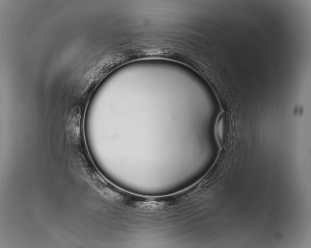 X0000108480691200904241300