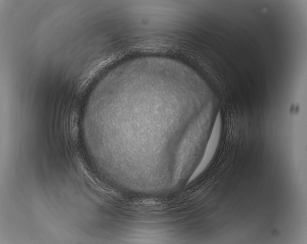 X0000108480692200904241300