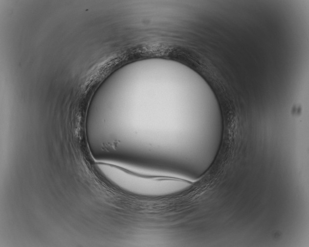 X0000108480693200904241300