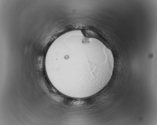 X0000108480695200904241300
