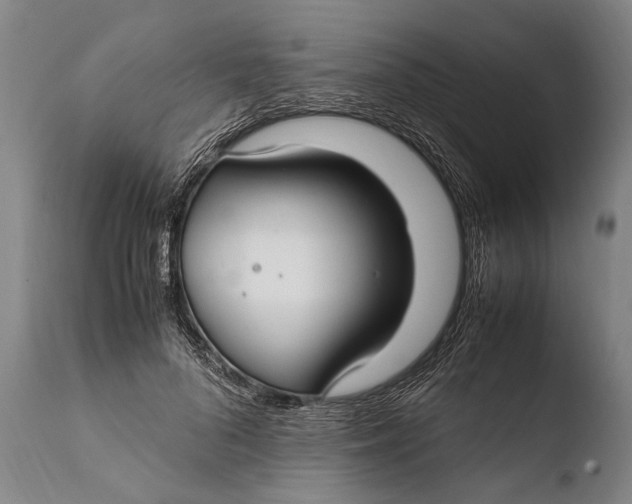 X0000108480696200904241300