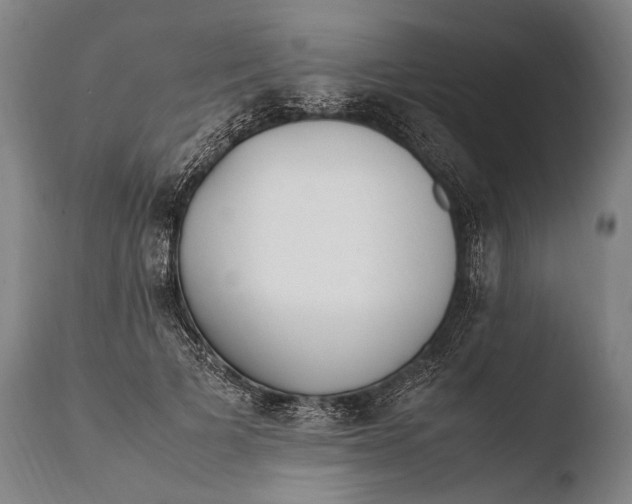X0000108480697200904241300