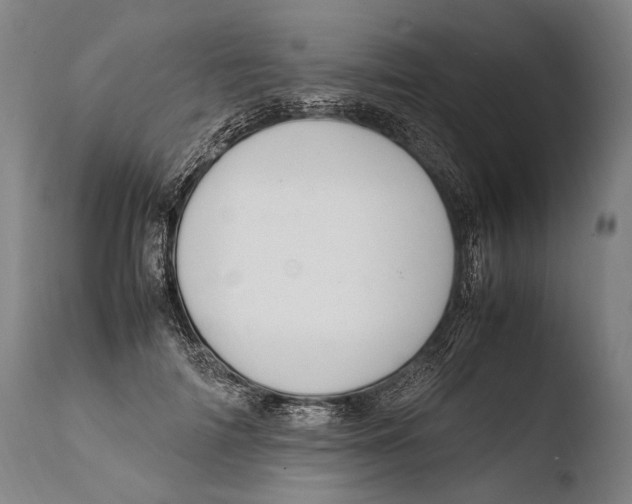 X0000108480698200904241300