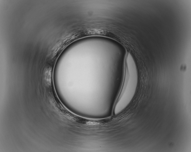 X0000108480699200904241300
