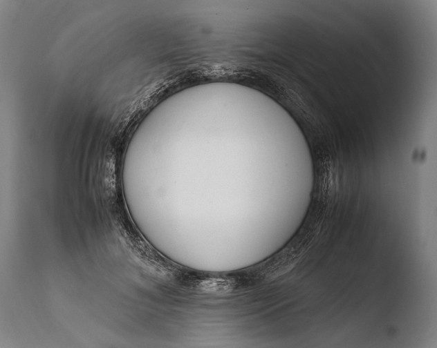 X0000108480700200904241300