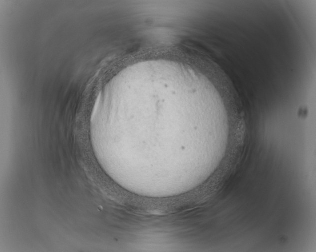 X0000108480701200904241300