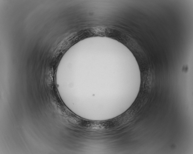 X0000108480702200904241300