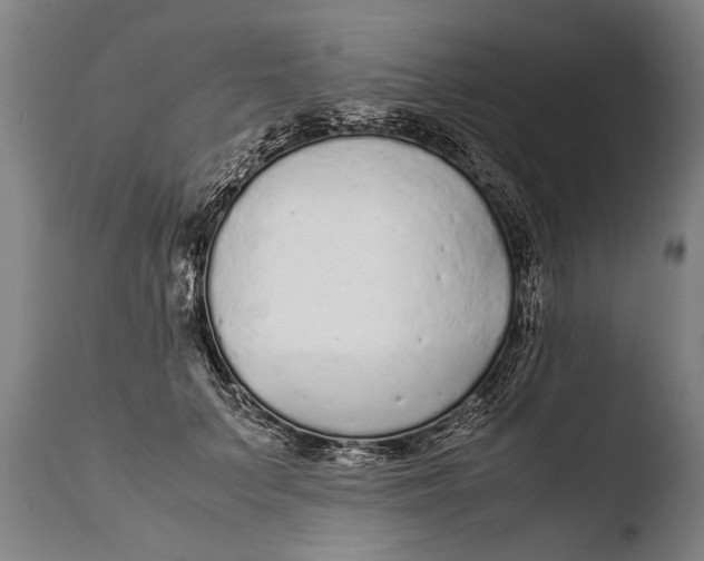 X0000108480703200904241300