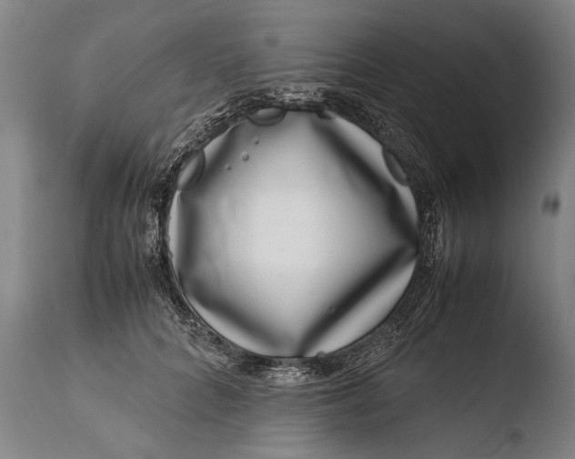 X0000108480704200904241300