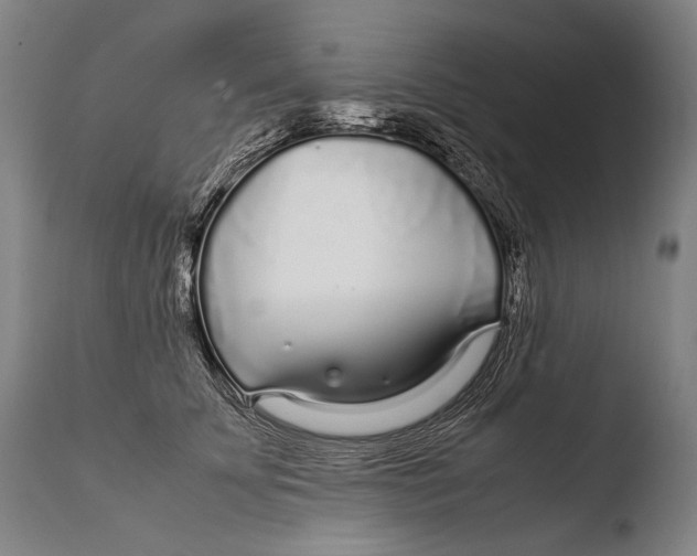 X0000108480707200904241300