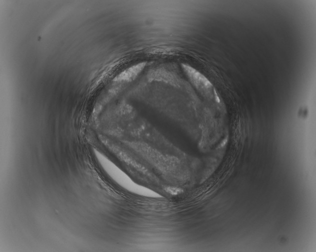X0000108480708200904241300