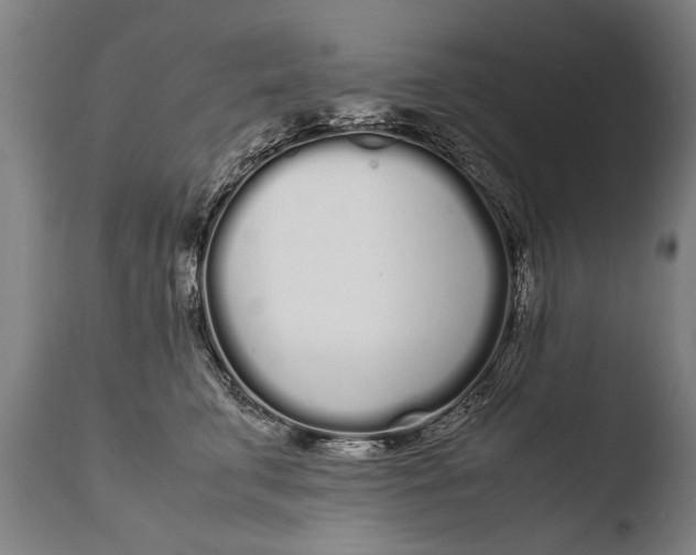 X0000108480711200904241300