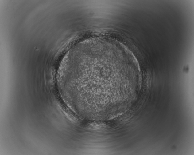 X0000108480712200904241300
